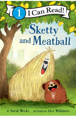 Sketty and meatball