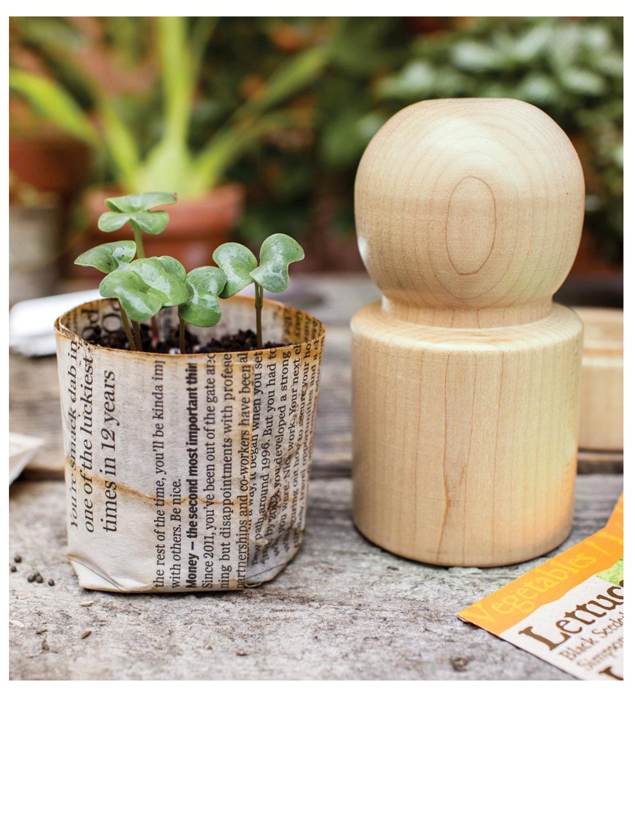 Picture of a paper planter