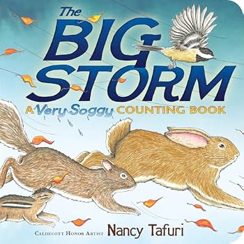 Picture of the cover to "The Big Storm: A Very Soggy Counting Book"