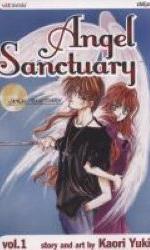 Book Jacket for "Angel Sanctuary"