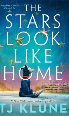 Picture of cover to "The Stars Look Home"