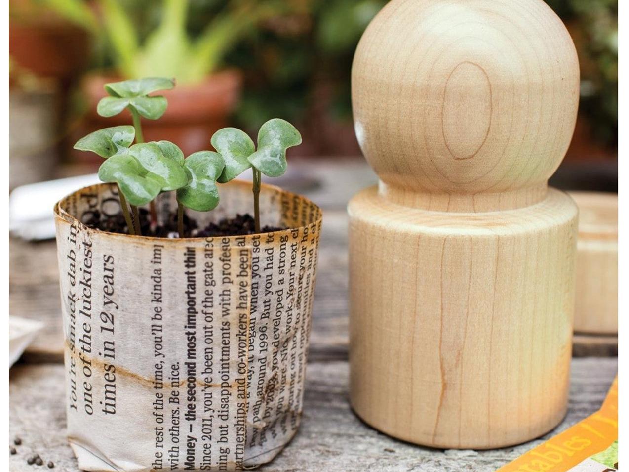 Picture of a paper planter