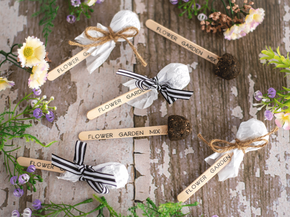 Pictures of seed pops on popsicle sticks